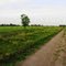 Alrededores