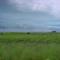 Tormenta