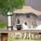 Casas de barro - Ecovilla Gaia