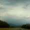 morning glory, tennessee