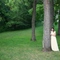 Mel in the Trees Norris, Tn
