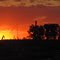 Atardece