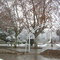 Nieve en Isla Verde
