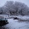 Nevada en Isla  Verde (foto de Raul Raynoso 2007)