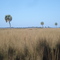 La riqueza