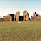 Ruinas de San Ignacio - frente desde lejos, Misiones