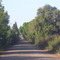 Camino rural Colonia Caroya, Córdoba
