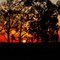 Por do sol no pampa del infierno Argentina (ruta 16)