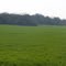 Frontera agrícola