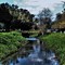Arroyo de aguas negras