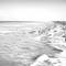 Playa- Mar de Tuyú.