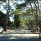 Av. San Bernardo