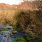 Arroyo.  Tunuyán **FOTO Mönika**