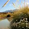 Río Tunuyán. Dique Valle de Uco. Campo Los Andes (Foto Monika)