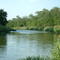 The Trinity River looking north
