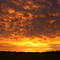 Sunrise in Heath