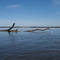 (AS) El Río Uruguay