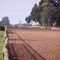 Hipodromo