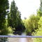 Río Fénix Grande