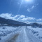 camino al perito