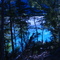 rio turbio, lago puelo