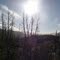 Bosque quemado, camino a cerro Plataforma
