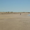playaaaa