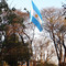 La Bandera en la plaza de Virasoro.