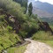 Camino a Charra Ruca