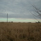 campo