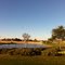 Robson Ranch Active Senior Living Development, Denton County, Texas