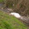 derrame de afluentes contaminantes al "Canal Salgado"