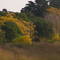 Otoño en la ruta a Capilla del Señor. Mayo 2009