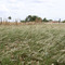 Campo argentino en estado puro