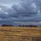 stormy pampas