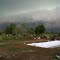 Tormentooon
