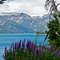 Lago Meliquina