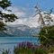 Lago Meliquina