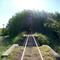 Puente y túnel vegetal - FCGMB