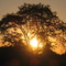 atardecer