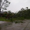 Day after Hurricane Ike