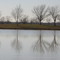 George Bush Park