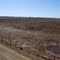 campo seco