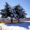 Nieve en Bismarck