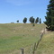 Vegetated dunes from Moromar, Lobería coastline