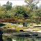 Puente Tanti