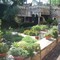Festival Hill Gardens