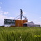 ultra grain planta palenque