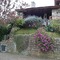 Hermosas flores en MdP