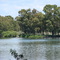 LAGUNA LA SALADA